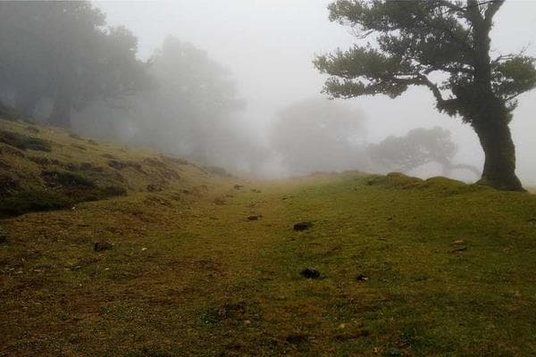 Industrial Warehouse